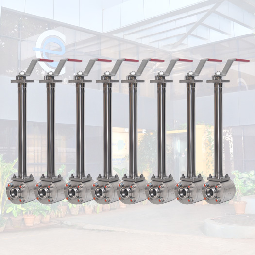Ball valve with extended stem